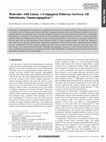 Research paper thumbnail of Molecules with Linearπ-Conjugated Pathways between All Substituents: Omniconjugation (Adv. Funct. Mater. 2004, 14, 215)