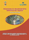 Research paper thumbnail of Programa de mejoramiento genético del aguaje