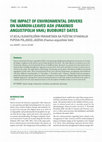 Research paper thumbnail of The impact of environmental drivers on narrow-leaved ash (Fraxinus angustifolia Vahl) budburst dates