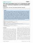 Research paper thumbnail of The Yeast Transcription Factor Crz1 Is Activated by Light in a Ca2+/Calcineurin-Dependent and PKA-Independent Manner