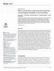 Research paper thumbnail of When is a handaxe a planned-axe? Exploring morphological variability in the Acheulean