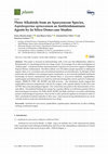 Research paper thumbnail of Three Alkaloids from an Apocynaceae Species, Aspidosperma spruceanum as Antileishmaniasis Agents by In Silico Demo-case Studies