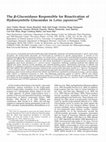 Research paper thumbnail of The <i>β</i>-Glucosidases Responsible for Bioactivation of Hydroxynitrile Glucosides in <i>Lotus japonicus</i>