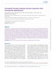 Research paper thumbnail of DrosophilaFemales Undergo Genome Expansion after Interspecific Hybridization