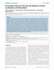 Research paper thumbnail of Intracellular Electric Field and pH Optimize Protein Localization and Movement