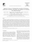 Research paper thumbnail of Digestion in larvae of Callosobruchus maculatus and Zabrotes subfasciatus (Coleoptera: Bruchidae) with emphasis on α-amylases and oligosaccharidases