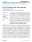 Research paper thumbnail of Plxnd1 Expression in Thymocytes Regulates Their Intrathymic Migration While That in Thymic Endothelium Impacts Medullary Topology