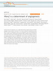 Research paper thumbnail of Wars2 is a determinant of angiogenesis