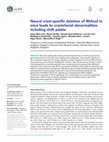 Research paper thumbnail of Neural crest-specific deletion of Rbfox2 in mice leads to craniofacial abnormalities including cleft palate