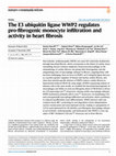 Research paper thumbnail of The E3 ubiquitin ligase WWP2 regulates pro-fibrogenic monocyte infiltration and activity in heart fibrosis