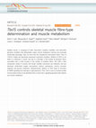 Research paper thumbnail of Tbx15 controls skeletal muscle fibre-type determination and muscle metabolism