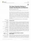 Research paper thumbnail of The Hippo Signaling Pathway in Cardiac Development and Diseases