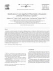 Research paper thumbnail of Identification of a very large Rab GTPase family in the parasitic protozoan Trichomonas vaginalis