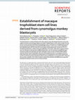 Research paper thumbnail of Establishment of macaque trophoblast stem cell lines derived from cynomolgus monkey blastocysts