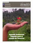 Research paper thumbnail of ¿Como resistir a la basura en Veracruz?