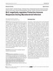 Research paper thumbnail of Bcl2 negatively regulates Protective Immune Responses During Mycobacterial Infection