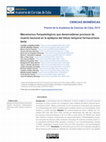 Research paper thumbnail of Mecanismos fisiopatológicos que desencadenan procesos de muerte neuronal en la epilepsia del lóbulo temporal farmacorresistente