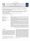 Research paper thumbnail of Microscopic mild focal cortical dysplasia in temporal lobe dual pathology: An electrocorticography study