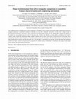 Research paper thumbnail of Shape transformation from silver triangular nanoprisms to nanodisks: Raman characterization and sculpturing mechanism