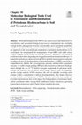 Research paper thumbnail of Molecular Biological Tools Used in Assessment and Remediation of Petroleum Hydrocarbons in Soil and Groundwater