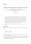 Research paper thumbnail of Modeling of TaqI Endonuclease Purification by HPLC