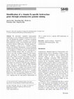 Research paper thumbnail of Identification of a vitamin D3-specific hydroxylase genes through actinomycetes genome mining