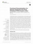 Research paper thumbnail of Functional characterization of the hexose transporter Hxt13p: An efflux pump that mediates resistance to miltefosine in yeast