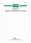 Research paper thumbnail of The Effect of Cardiovascular Drugs on Pro-Inflammatory Cytokine Secretion and Natural Killer Activity of Peripheral Blood Mononuclear Cells of Patients with Chronic Heart Failure in vitro