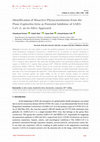 Research paper thumbnail of Identification of Bioactive Phytoconstituents from the Plant Euphorbia hirta as Potential Inhibitor of SARS-CoV-2: an In-Silico Approach