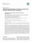 Research paper thumbnail of Molecular-Based Identification of Actinomycetes Species That Synthesize Antibacterial Silver Nanoparticles