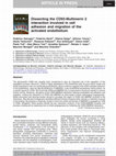 Research paper thumbnail of Dissecting the CD93-Multimerin 2 interaction involved in cell adhesion and migration of the activated endothelium