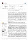 Research paper thumbnail of Soil Inorganic Carbon Formation and the Sequestration of Secondary Carbonates in Global Carbon Pools: A Review