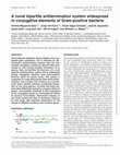 Research paper thumbnail of A novel bipartite antitermination system widespread in conjugative elements of Gram-positive bacteria