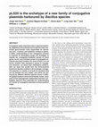 Research paper thumbnail of pLS20 is the archetype of a new family of conjugative plasmids harboured byBacillusspecies