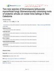 Research paper thumbnail of Two new species of Diversispora (arbuscular mycorrhizal fungi; Glomeromycota) colonizing roots of endemic shrubs on nickel mine tailings in New-Caledonia