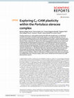 Research paper thumbnail of Exploring C4–CAM plasticity within the Portulaca oleracea complex