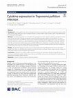 Research paper thumbnail of Cytokine expression in Treponema pallidum infection