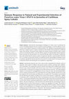 Research paper thumbnail of Immune Response to Natural and Experimental Infection of Panulirus argus Virus 1 (PaV1) in Juveniles of Caribbean Spiny Lobster