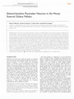 Research paper thumbnail of Ethanol-Sensitive Pacemaker Neurons in the Mouse External Globus Pallidus