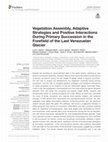 Research paper thumbnail of Vegetation Assembly, Adaptive Strategies and Positive Interactions During Primary Succession in the Forefield of the Last Venezuelan Glacier