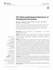 Research paper thumbnail of The Clinicopathological Spectrum of Parathyroid Carcinoma