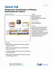 Research paper thumbnail of The Pangenomic Classification of Pituitary Neuroendocrine Tumors: Quality Histopathology is Required for Accurate Translational Research