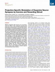 Research paper thumbnail of Endoscopic Endonasal Pituitary Surgery For Nonfunctioning Pituitary Adenomas: Long-Term Outcomes and Management of Recurrent Tumors