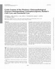 Research paper thumbnail of Cystic Lesions of the Pituitary: Clinicopathological Features Distinguishing Craniopharyngioma, Rathke’s Cleft Cyst, and Arachnoid Cyst