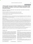 Research paper thumbnail of A Photographic Assessment of Smile by Modifying Crown Height, Width and Angulation of Maxillary Lateral Incisor among Orthodontic Patients of Karachi, Pakistan