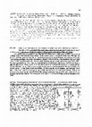 Research paper thumbnail of P300-like potential recorded from the rat frontal cortex