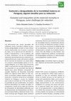 Research paper thumbnail of Evolution and inequalities of the maternal mortality in Paraguay; some challenges for reduction