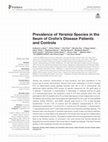 Research paper thumbnail of Prevalence of Yersinia Species in the Ileum of Crohn's Disease Patients and Controls