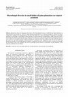 Research paper thumbnail of Macrofungal diversity in small-holder oil palm plantations on tropical peatlands