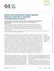 Research paper thumbnail of Humans and Chimpanzees Display Opposite Patterns of Diversity in Arylamine N-Acetyltransferase Genes